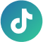 Tiktok icon